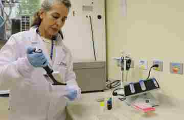 Alimentação escolar: controle rigoroso garante cardápios nutritivos e saudáveis no Paraná